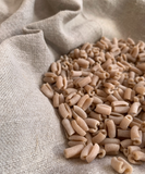 Esses Grand Epeautre bles anciens bio 2