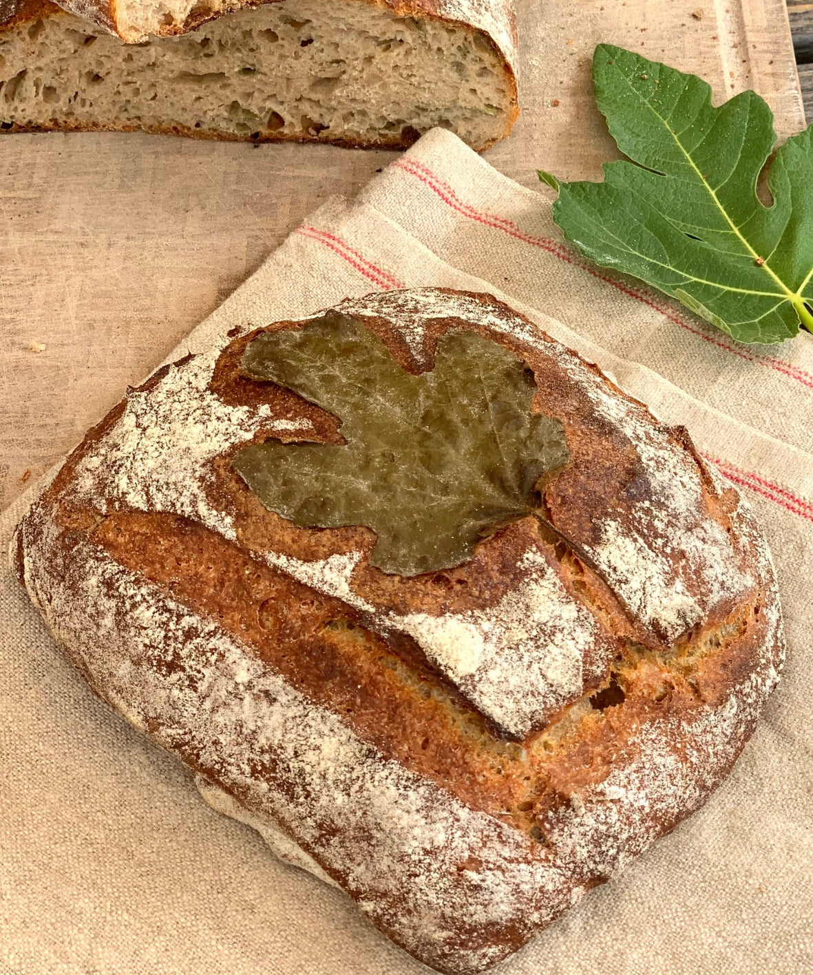 Pain de Blés de Population aux feuilles de figuiers sauvages - Édition limitée d'été