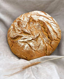 Pain au levain à la farine semi-complète de petit-épeautre - blé ancien au gluten faible