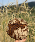 Pain Seigle Gris Pyrénées 100% Levain