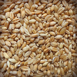 Farine de Blés de Population