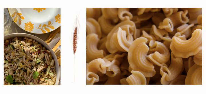 Des pâtes artisanales digestes et vivantes : notre démarche 100% Nature®