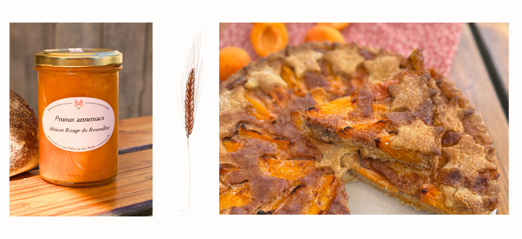 Tarte boulangère aux Abricots