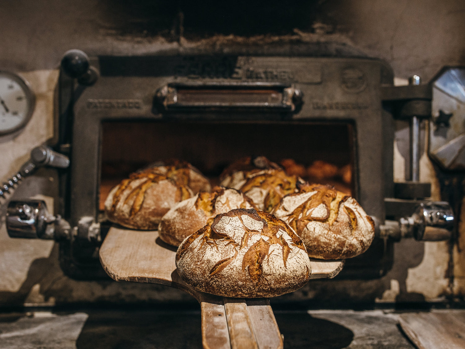 Pains de Blés Anciens et levain naturel