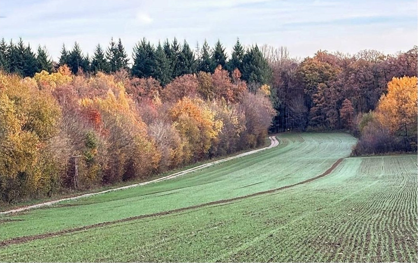 L'hiver au Moulin