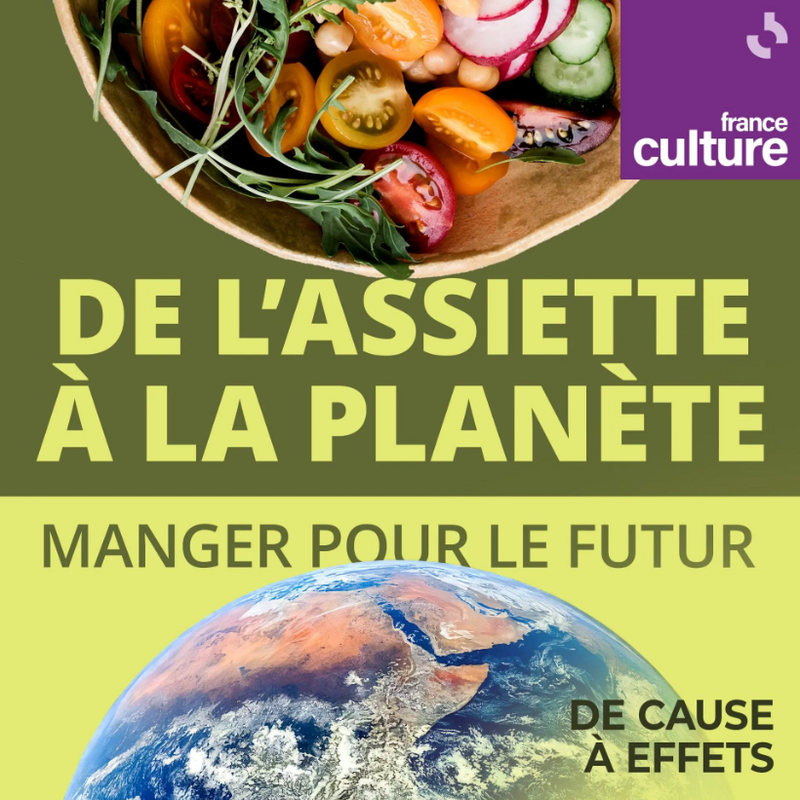 Le pain comme base de l'alimentation