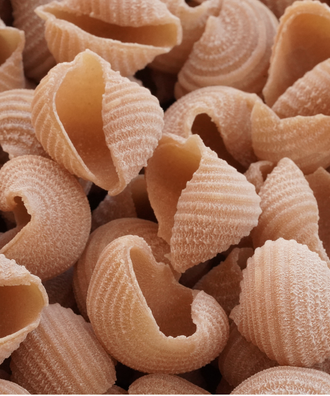 Coquillages au Blé dur