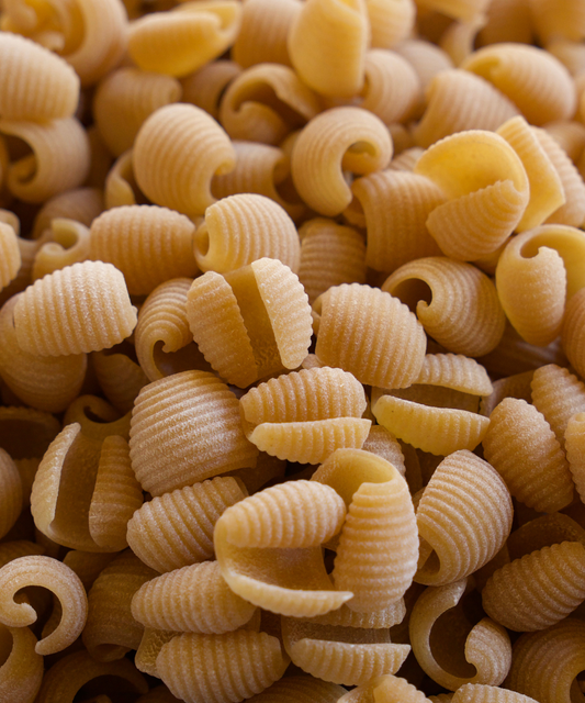 Coquillettes de Blé dur