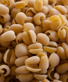 Coquillettes de Blé dur