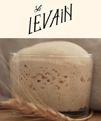 Le Levain - Coffret : Le démarrage