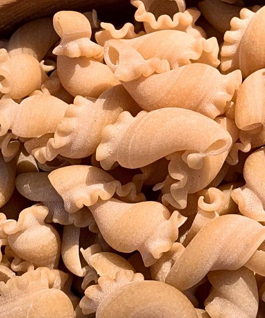 Girollettes Blé Dur - 2kg
