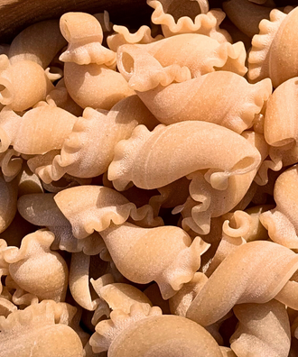 Girollettes Blé Dur - 2kg