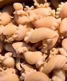 Girollettes Blé Dur - 2kg