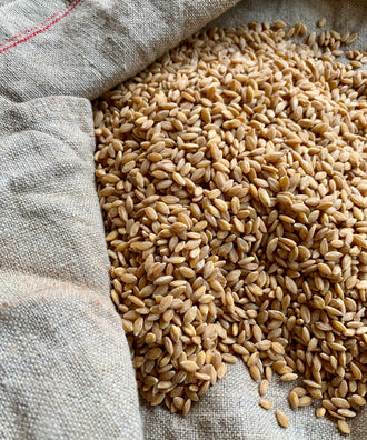 L'Engrain mondé de Haute-Provence - IGP