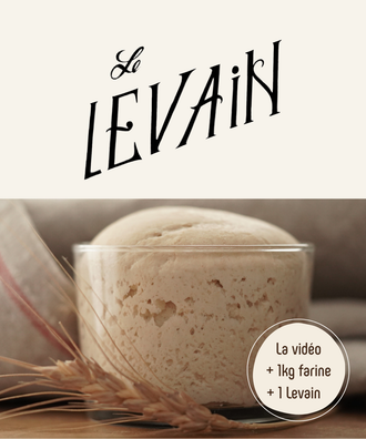 Kit Levain (Blé de Population / Engrain / Khorasan / Seigle) - Le démarrage