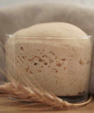 Le Levain - Coffret : Le démarrage