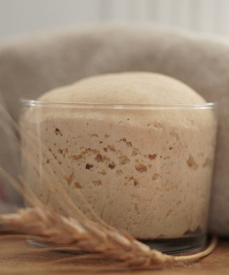 Le Levain - Coffret : Le démarrage - Blés de population