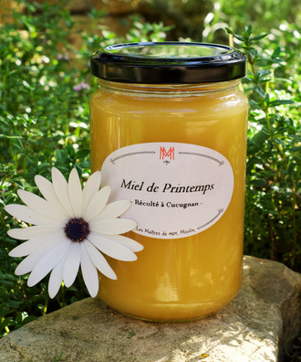 Miel de Printemps - 400g