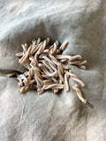 Pâtes artisanales à la farine de blé ancien bio - Grand Epeautre