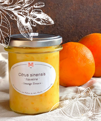 Confiture peu sucrée bio d'orange