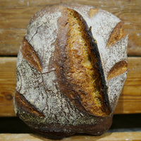 Pain au levain à la farine semi-complète de Barbu du Roussillon - blé ancien 