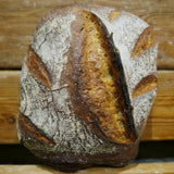 Pain au levain à la farine semi-complète de Barbu du Roussillon - blé ancien 