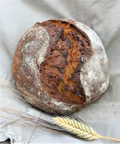Pain au levain à la farine semi-complète de khorasan - kamut- blé ancien