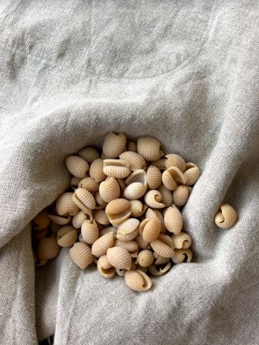 Coquillettes de Khorasan KAMUT®