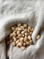 Pâtes artisanales à la farine de blé ancien bio - Khorasan Kamut